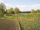 img0010.jpg