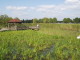 img0011.jpg