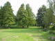 img0012.jpg