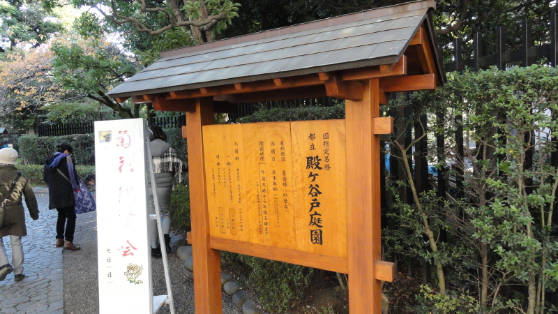 img0001.jpg