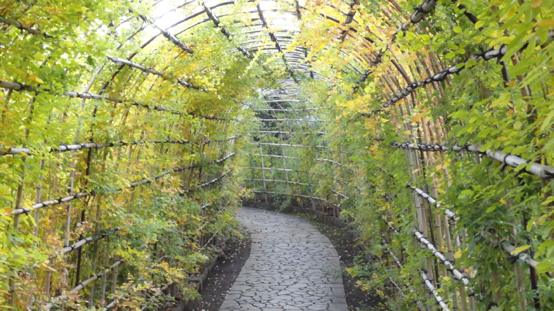 img0007.jpg