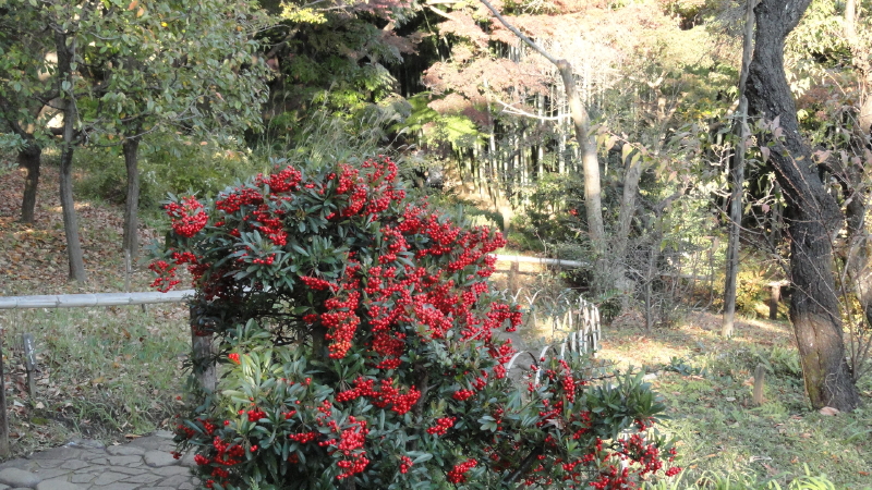 img0008.jpg