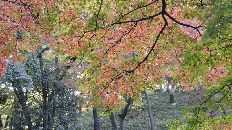 img0015.jpg