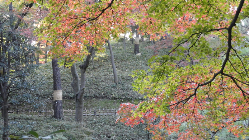 img0016.jpg