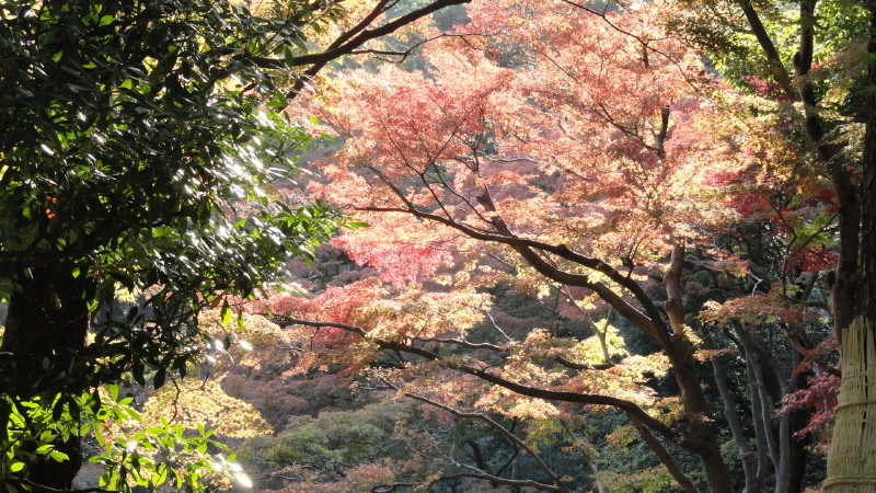 img0023.jpg