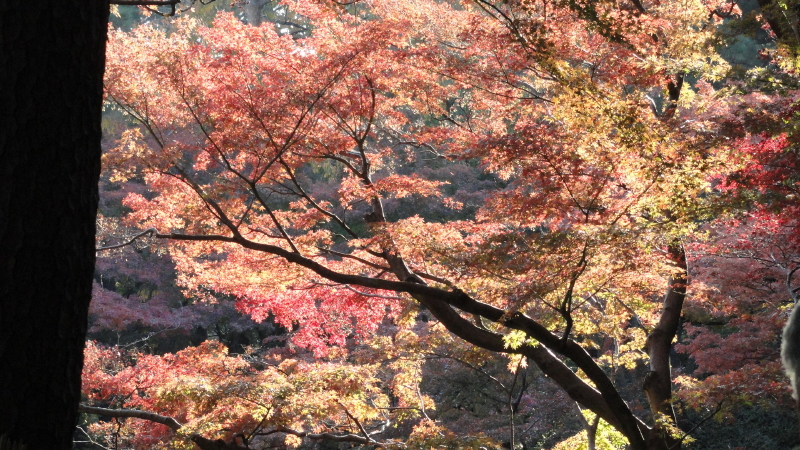 img0025.jpg