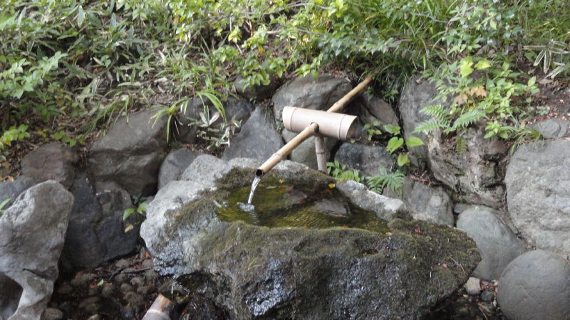 img0027.jpg