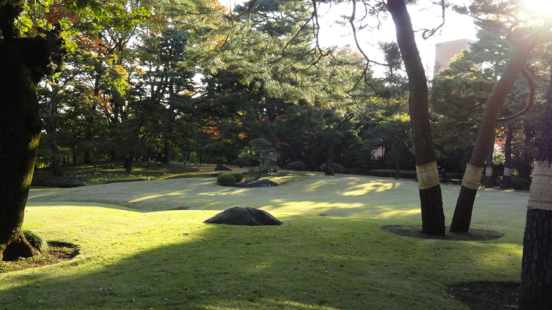 img0035.jpg