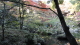 img0012.jpg