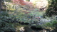 img0013.jpg