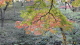 img0014.jpg