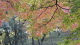 img0015.jpg