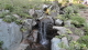 img0017.jpg