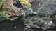 img0018.jpg