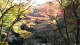 img0019.jpg