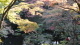 img0020.jpg