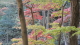 img0021.jpg