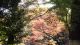 img0022.jpg