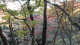 img0028.jpg
