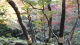 img0029.jpg