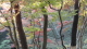 img0031.jpg