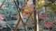 img0033.jpg