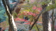 img0034.jpg