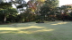 img0036.jpg