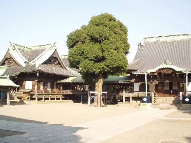 img0012.jpg