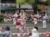 img0017.jpg