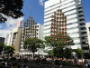 img0169.jpg