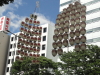 img0187.jpg