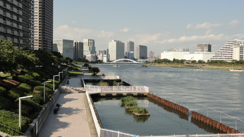 img0009.jpg