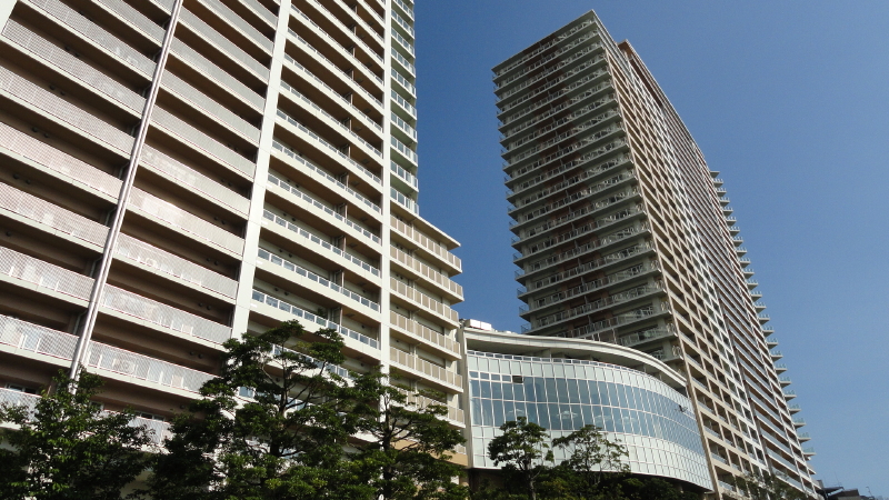 img0031.jpg