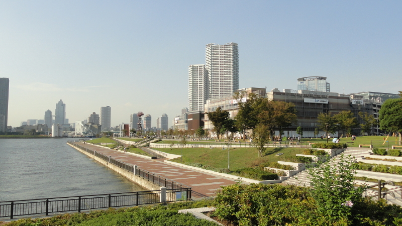 img0051.jpg