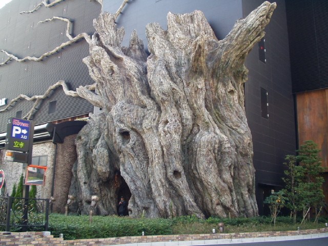 img0002.jpg