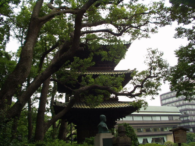 img0004.jpg