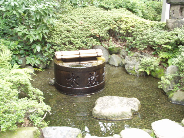 img0005.jpg