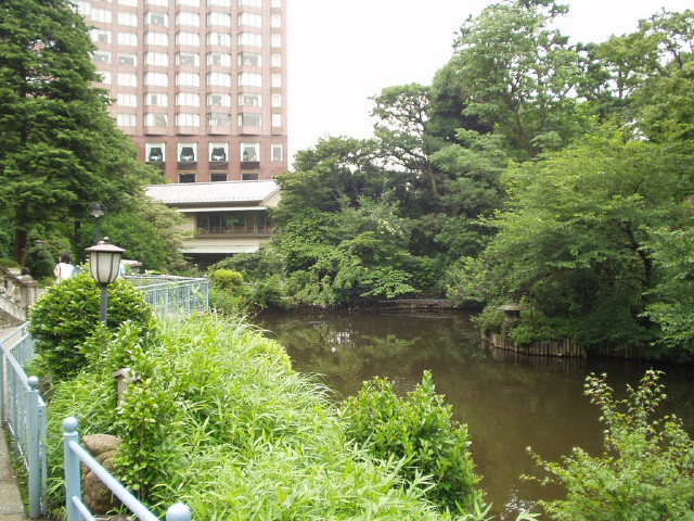 img0011.jpg