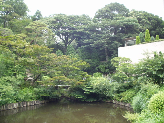 img0013.jpg