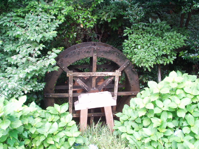 img0015.jpg