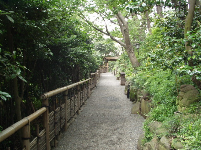 img0016.jpg