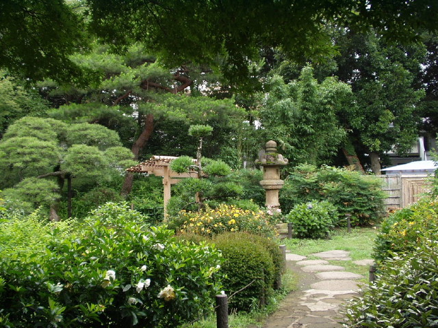 img0019.jpg