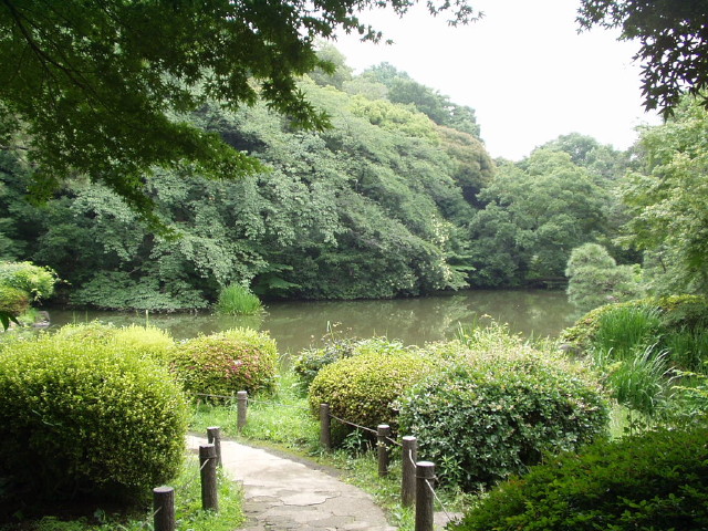 img0020.jpg