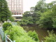 img0011.jpg