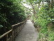 img0016.jpg