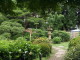 img0019.jpg