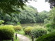 img0020.jpg