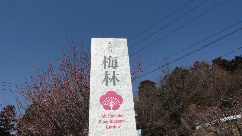 img0001.jpg