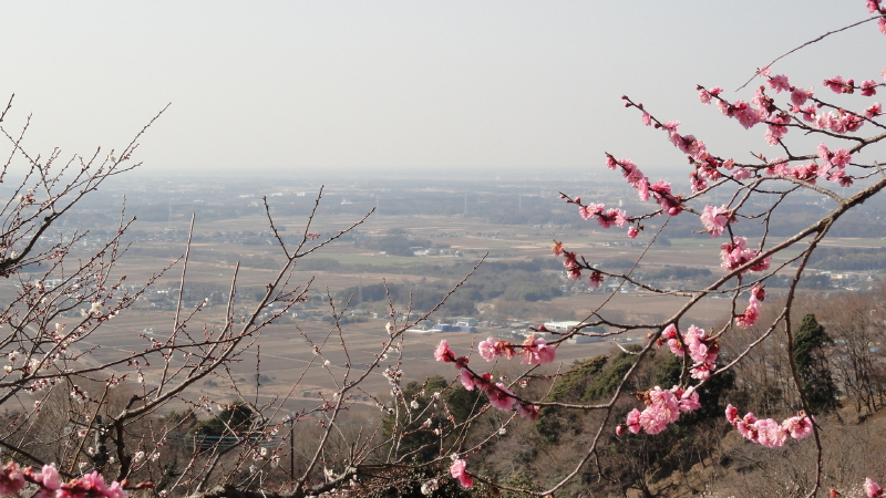 img0015.jpg